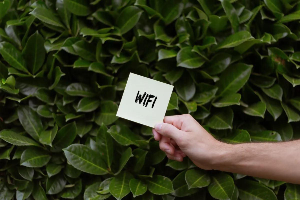 wifi hasło